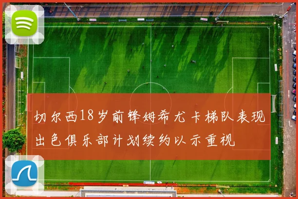 切尔西18岁前锋姆希尤卡梯队表现出色俱乐部计划续约以示重视