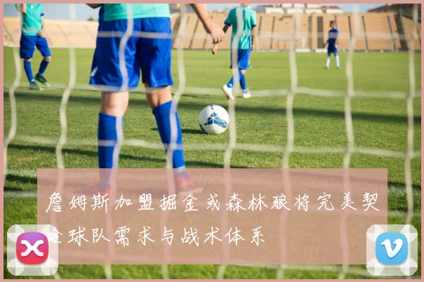詹姆斯加盟掘金或森林狼将完美契合球队需求与战术体系